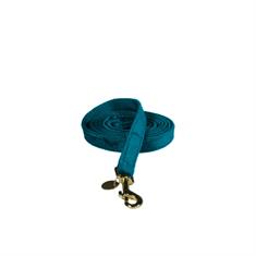 Laisse pour chien Velvet 120cm Small Kentucky Vert moyen