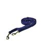 Laisse pour chien Velvet Small Kentucky Bleu foncé