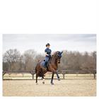 Legging d'équitation 3C Full Grip ANKY Bleu foncé