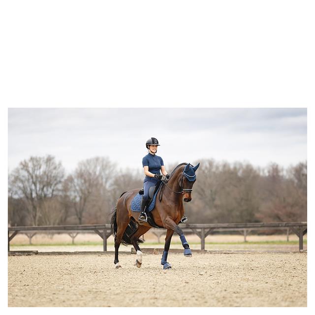 Legging d'équitation 3C Full Grip ANKY Bleu foncé