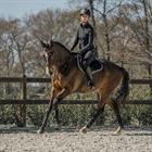 Legging d'équitation fond full-grip Perfection Equestrian Pro Horka Noir