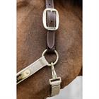 Licol anatomique en nylon Kentucky Marron clair