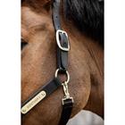Licol anatomique en nylon Kentucky Noir