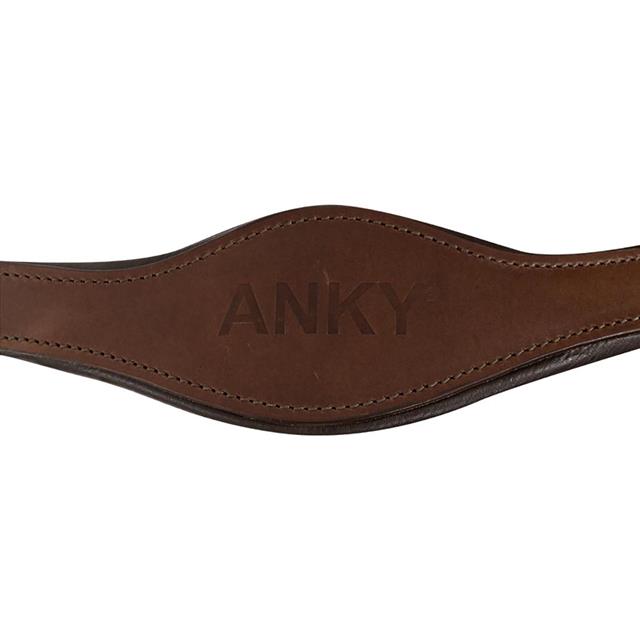 Licol Anky Bleu-marron