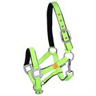 Licol Avec Frontal Anti-Mouches Neon Epplejeck Vert