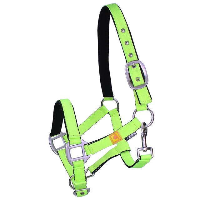 Licol Avec Frontal Anti-Mouches Neon Epplejeck Vert