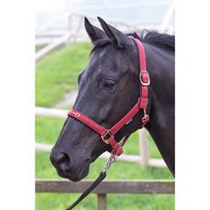 Licol Bit Harry's Horse Rouge foncé