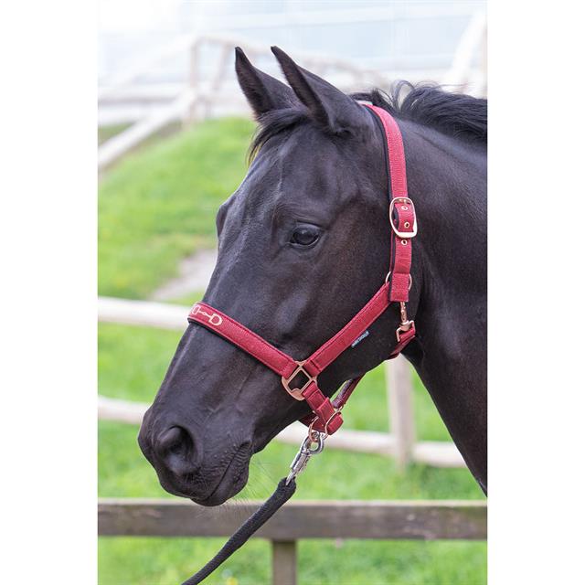 Licol Bit Harry's Horse Rouge foncé