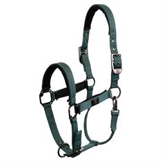 Licol BR CLX Vert