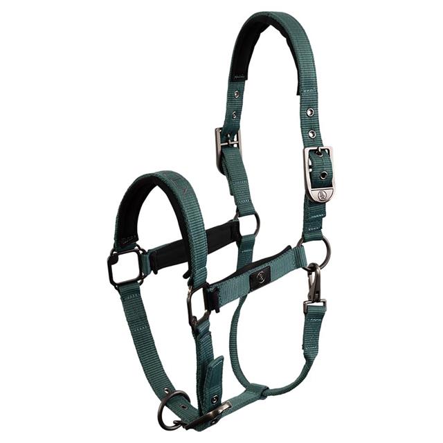 Licol BR CLX Vert