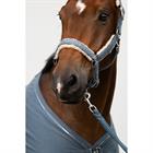 Licol Classic Sports Denim Teddyfleece Double Pin Eskadron Bleu