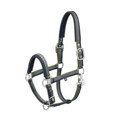 Licol Classic Sports Double Pin Eskadron Bleu foncé-vert
