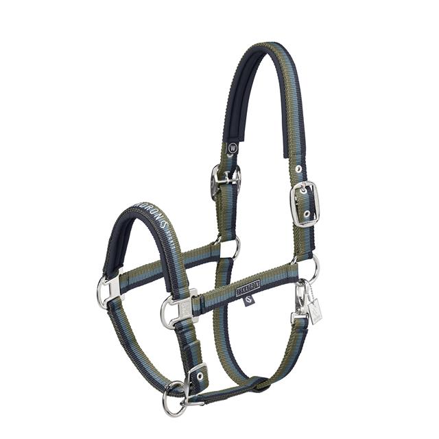 Licol Classic Sports Double Pin Eskadron Bleu foncé-vert