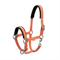 Licol Classic Sports Pin Buckle Eskadron Orange