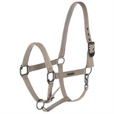Licol Covalliero Beige