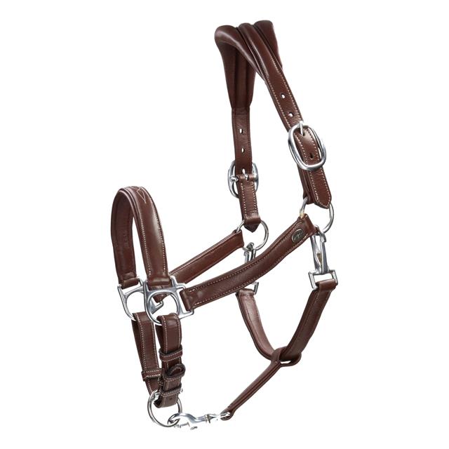 Licol Cuir Douce Working Collection Dy'on Marron