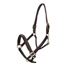 Licol Cuir Horka Marron-doré