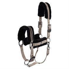 Licol Dante BR Marron clair