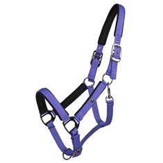 Licol Deluxe QHP Violet