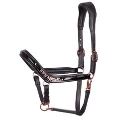 Licol Denici Cavalli Indigo Harry's Horse Noir