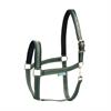 Licol Dublin Bucas Vert foncé