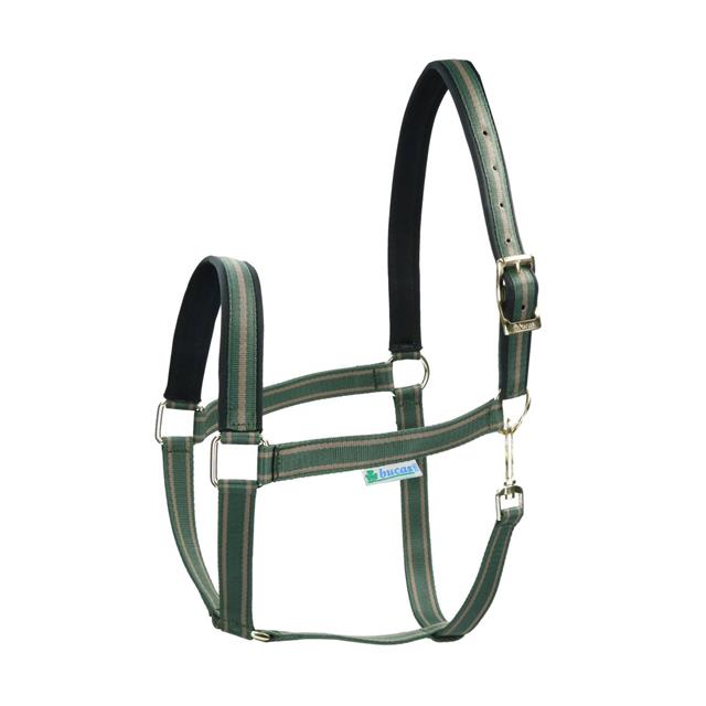 Licol Dublin Bucas Vert foncé