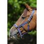 Licol Dublin Bucas Vert
