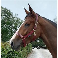 Licol Dublin Ruby Jubilee Bucas