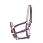 Licol Dublin SS25 Bucas Marron clair-rose