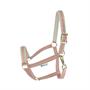 Licol Dublin SS25 Bucas Marron clair-rose