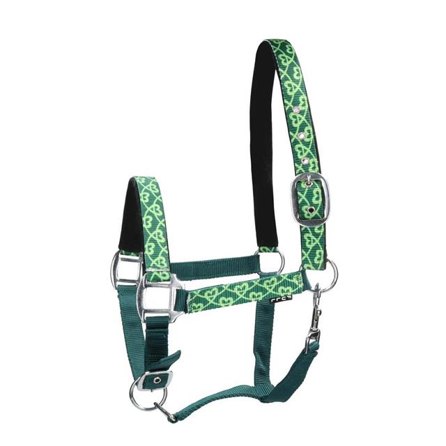 Licol EJhearts Epplejeck Vert foncé