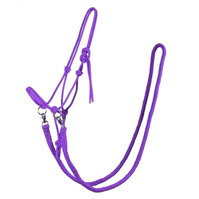 Licol en corde avec rênes QHP Violet