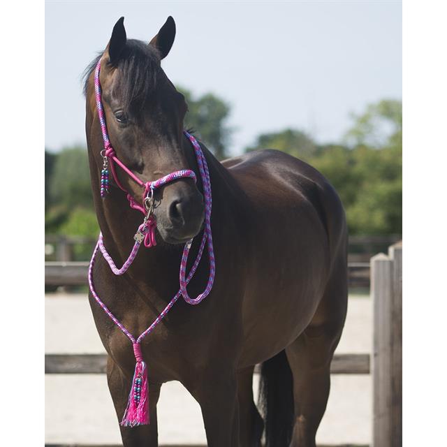 Licol en corde Combi Liberty QHP Rose moyen