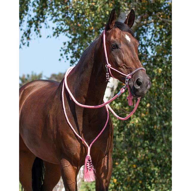 Licol en corde Combi Liberty QHP Rose