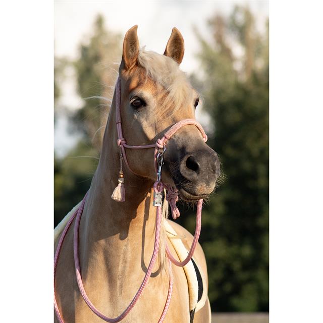 Licol en corde et longe FHFANNA FREE HORSE Rose-beige