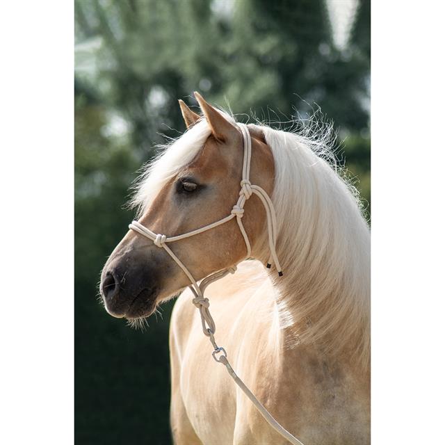 Licol en corde et longe Free Horse Blanc cassé