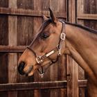 Licol en corde Kentucky Marron