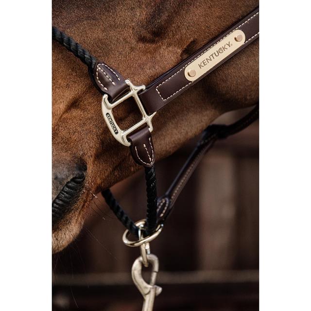 Licol en corde Kentucky Marron