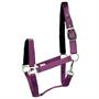 Licol Esprit Epplejeck Mauve-noir