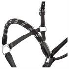 Licol et Longe Dundee BR Noir