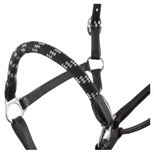 Licol et Longe Dundee BR Noir