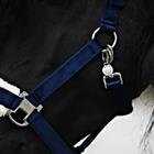 Licol et Longe Friesian Horse By HORSEGEAR Bleu foncé