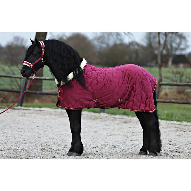 Licol et Longe Friesian Horse By HORSEGEAR Rouge foncé