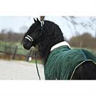 Licol et Longe Friesian Horse By HORSEGEAR Vert foncé