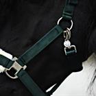 Licol et Longe Friesian Horse By HORSEGEAR Vert foncé