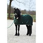 Licol et Longe Friesian Horse By HORSEGEAR Vert foncé