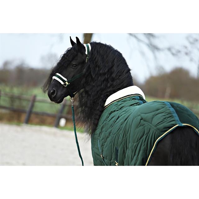 Licol et Longe Friesian Horse By HORSEGEAR Vert foncé