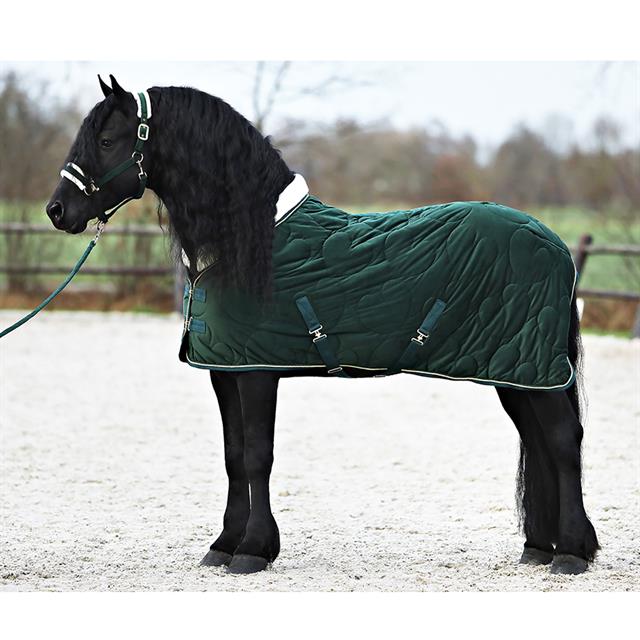 Licol et Longe Friesian Horse By HORSEGEAR Vert foncé