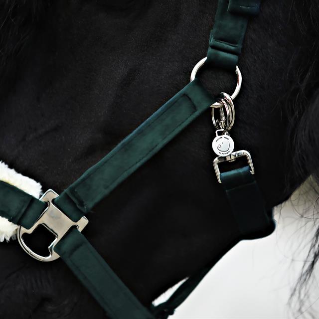 Licol et Longe Friesian Horse By HORSEGEAR Vert foncé