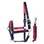 Licol et longe NBrands X Epplejeck Noir-vert